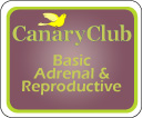 Basic Adrenal & Reproductive