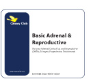 Basic Adrenal & Reproductive