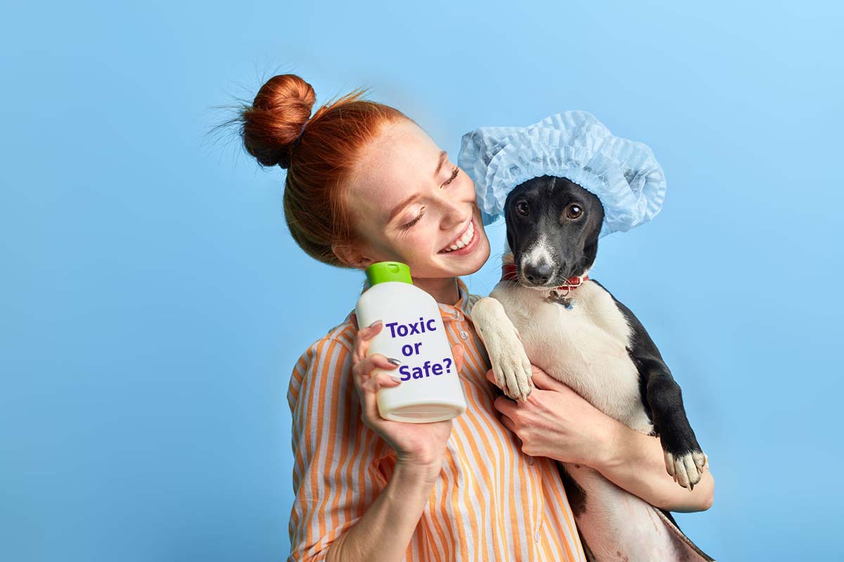 Synthetic chemicals can mimic hormones and interfere with or disrupt the delicate balance of hormone messaging.