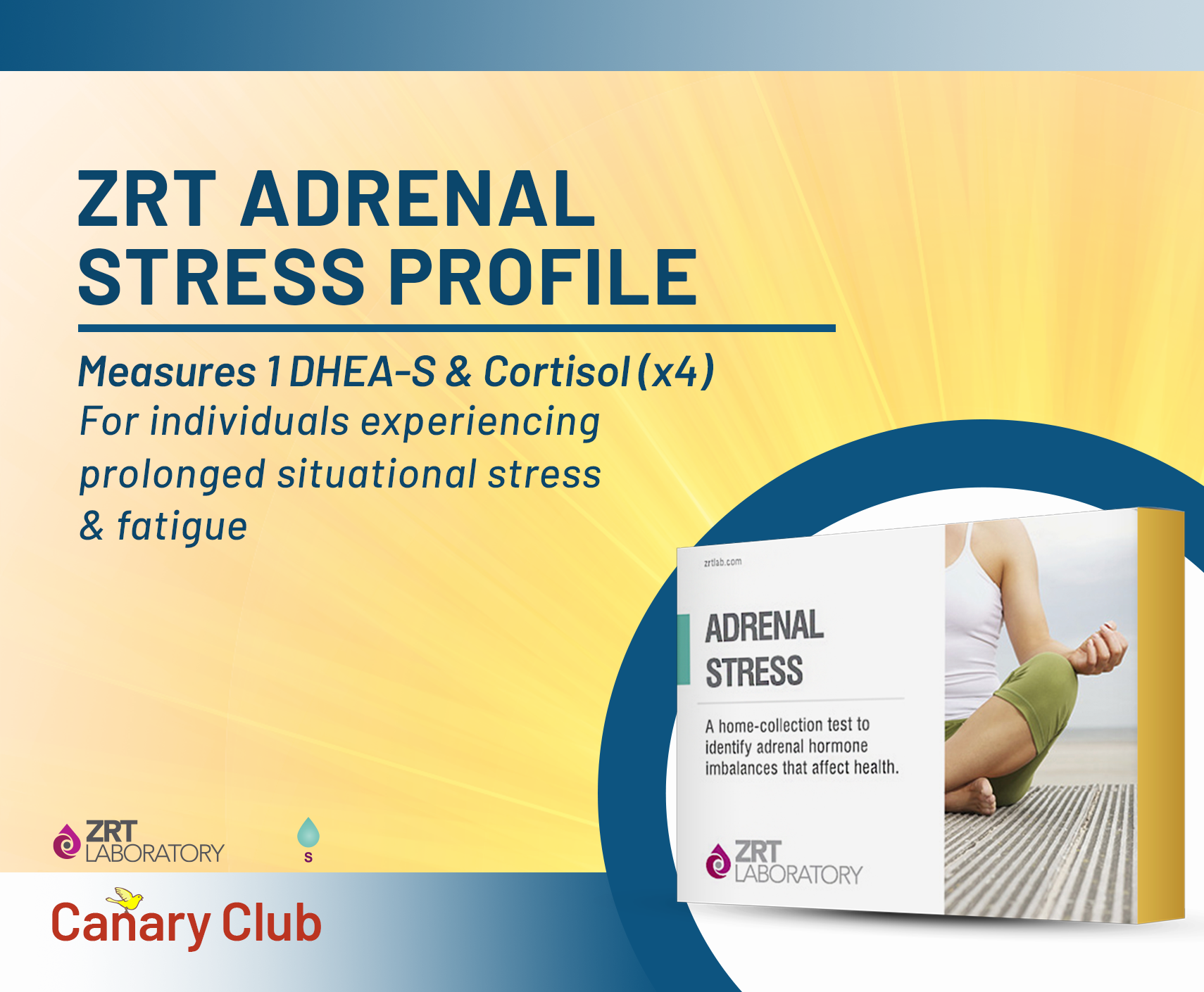 3D Adrenal Stress package